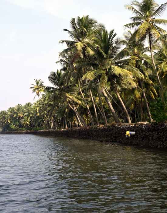 Mini Kerala - BOATING IN TARKARLI