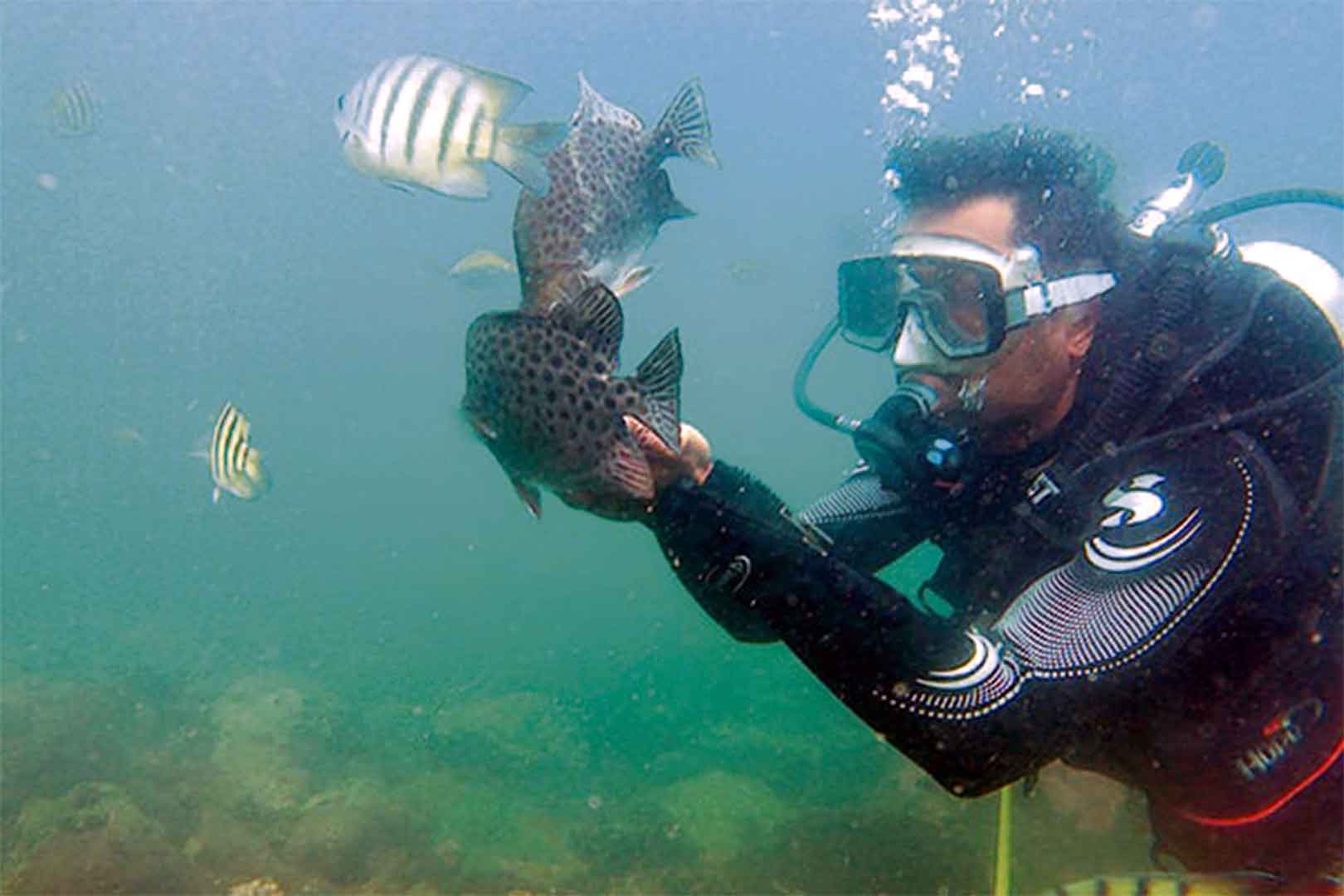 SCUBA Diving in Tarkarli