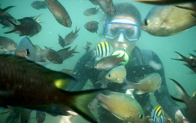 SCUBA Diving in Tarkarli