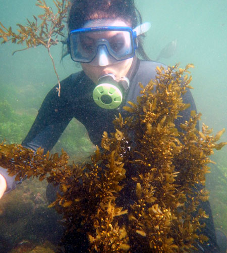 SCUBA Diving in Tarkarli