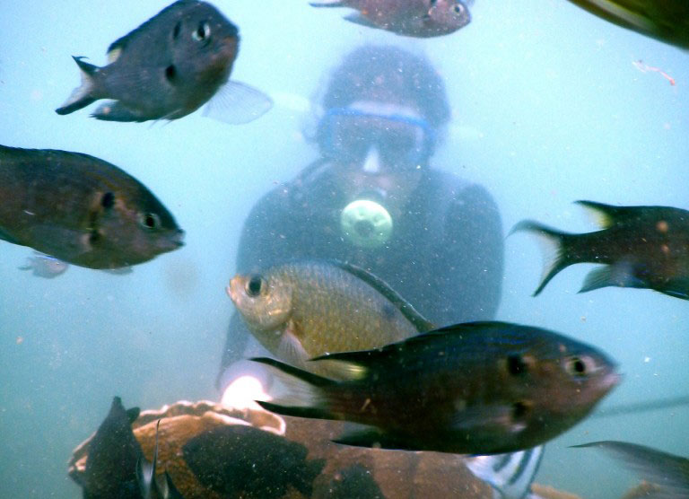SCUBA Diving in Tarkarli