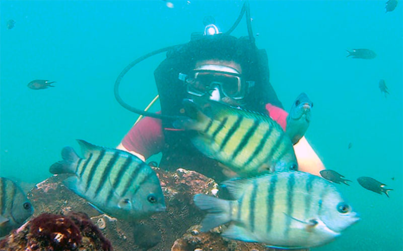 SCUBA Diving in Tarkarli